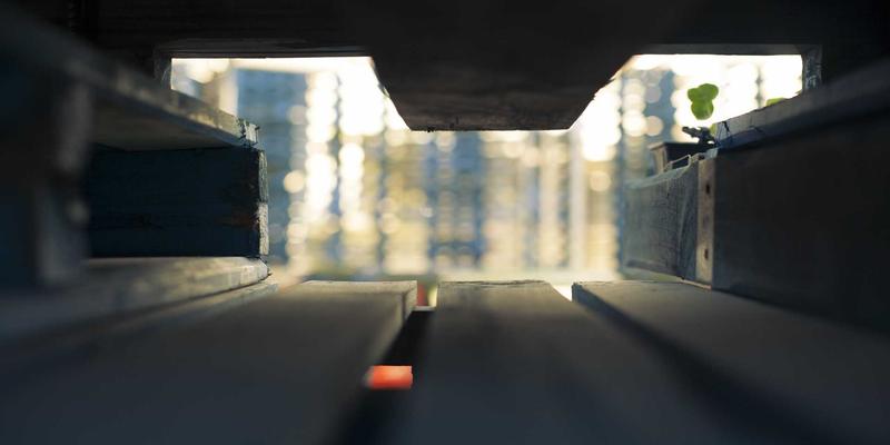 XC0312政务指南：一站式综合信息服务平台深度解析