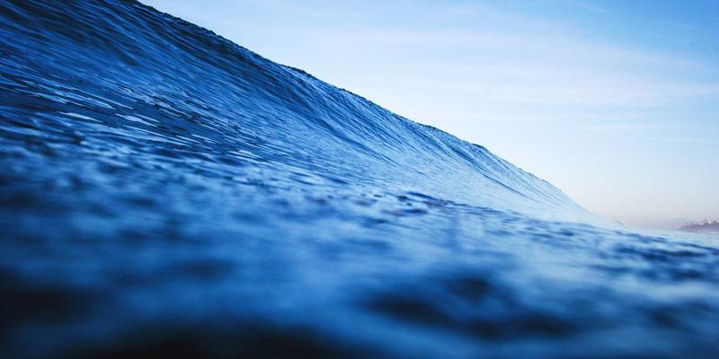 XC031信息查询全解析：一站式掌握政务指南核心功能与操作流程