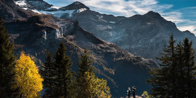 XC0336：构建智慧便民服务新生态，打造一站式综合信息平台