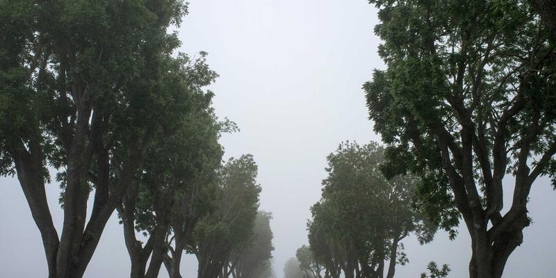 XC0351：解锁信息查询、生活服务与政务指南的智慧生活新密码