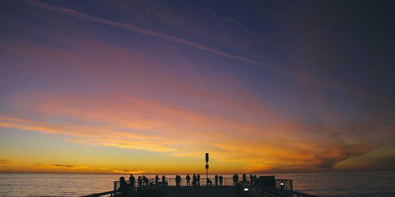 XC0353：解锁智慧政务新体验，一站式信息查询与便民服务指南