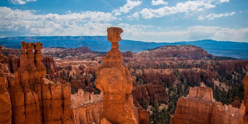 XC0364：数字化便民服务如何重塑现代生活服务新生态