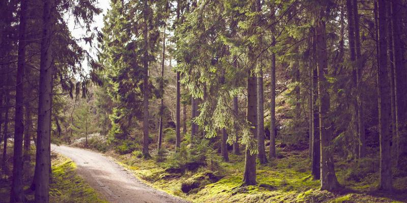 XC0370：解锁智慧生活新体验——一站式信息查询与政务生活服务指南