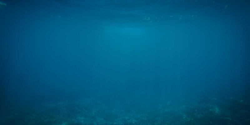 XC0389：解码未来社区生活服务的智能新范式