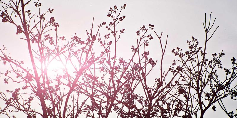 XC0394政务指南：一站式生活服务解决方案