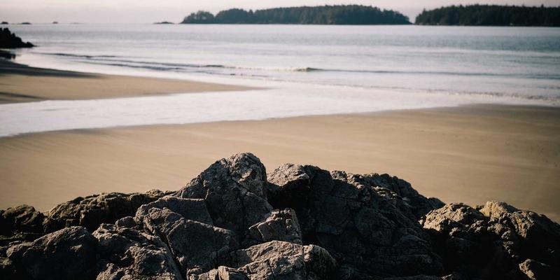 XC0396：政务指南与生活服务的数字化新体验