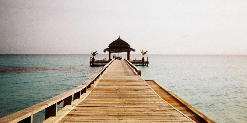 XC0398政务指南:一站式信息查询与生活服务全解析