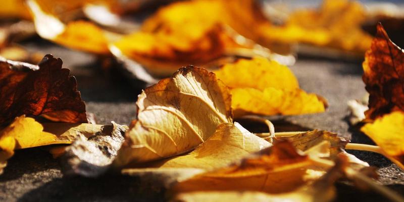 XC03与区块链技术结合：重塑生活服务与便民服务的供应链数据可信新时代