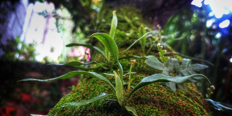 XC03前景：构建未来社区服务新生态，打造一站式便民生活圈