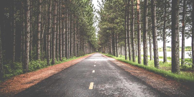 XC03在应急管理中的关键作用：如何通过社区服务与政务指南提供实时灾难信息与避难指引