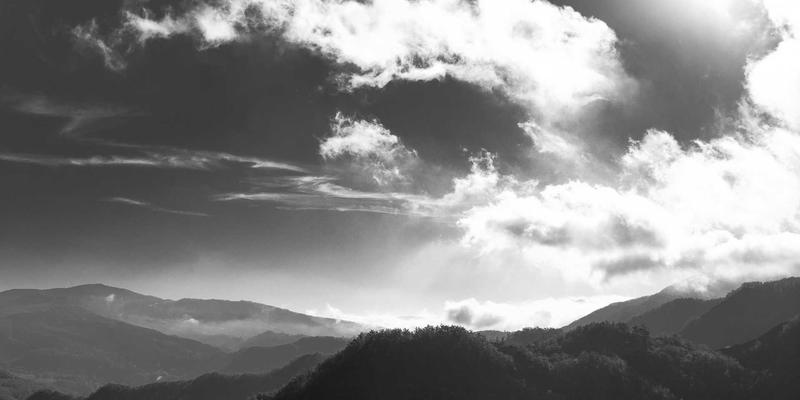 XC03如何通过综合信息与社区服务实现能源管理系统节能优化？一份政务指南