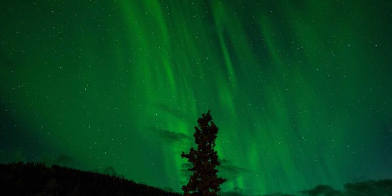 XC03设备赋能乡村数字振兴：政务指南与综合信息服务的创新实践