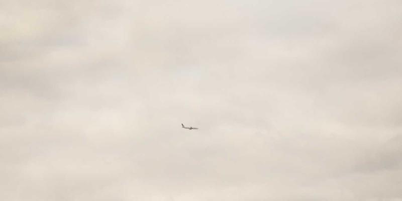 XC03趋势解读：政务指南、生活服务与信息查询如何重塑数字生活新范式