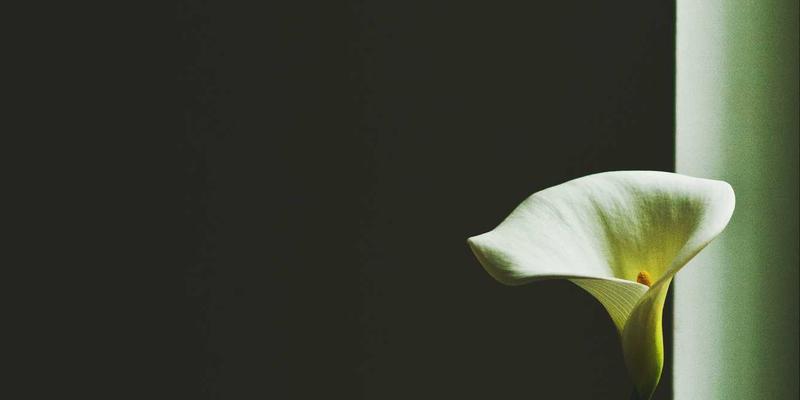 XC03：重新定义社区服务与综合信息平台的新标杆