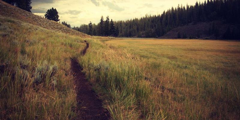 基于XC03的公共事业缴费自助终端优化：打造智慧生活服务新体验与政务指南