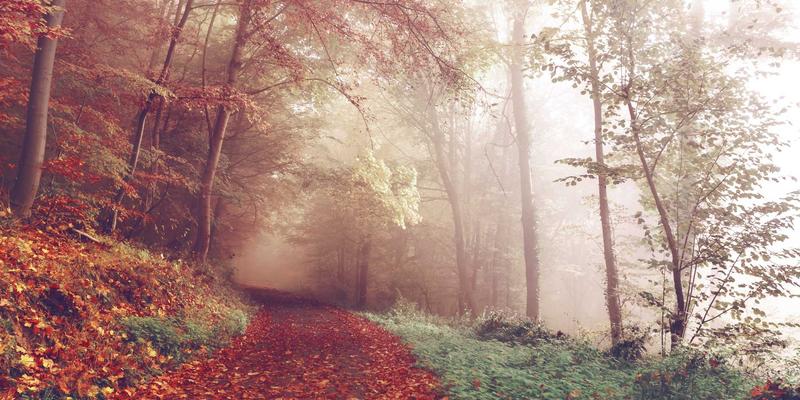 基于XC03的智慧农业系统：环境监测与自动化灌溉的政务指南与生活服务新范式