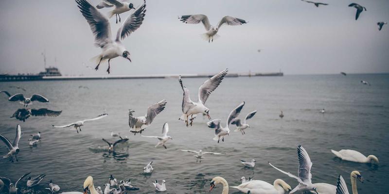 政务指南：XC03如何赋能智慧医疗，打通院内院外数据实现高效随访与用药提醒