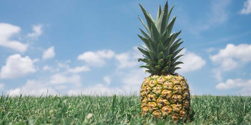 政务指南：XC03系统如何通过集成照明、空调与门禁，打造便民节能的智慧楼宇生活服务