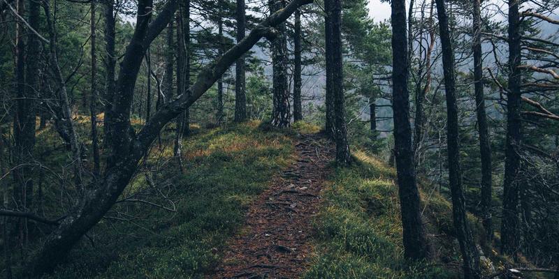 政务指南与便民服务：购买XC03前必须了解的十大技术规格信息查询